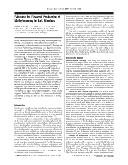 Evidence for Elevated Production of Methylmercury in Salt Marshes