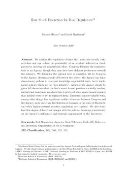How Much Discretion for Risk Regulators?1