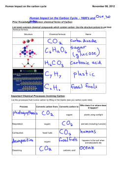 Human Impact on the carbon cycle