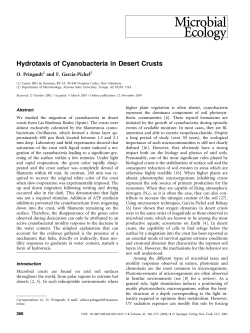 Hydrotaxis of Cyanobacteria in Desert Crusts