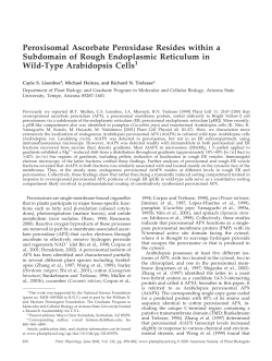 Peroxisomal Ascorbate Peroxidase Resides within