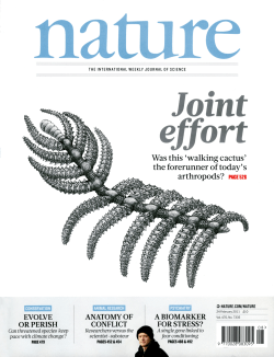 An armoured Cambrian lobopodian from China with arthropod