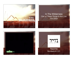 2016-09-18 In The Wilderness | One Of These Things Is Not Like