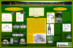 Cedar Creek Chinese Poster