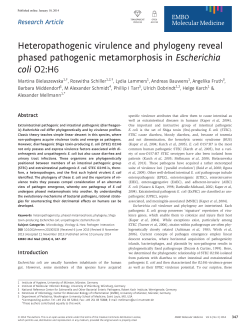 Heteropathogenic virulence and phylogeny reveal phased