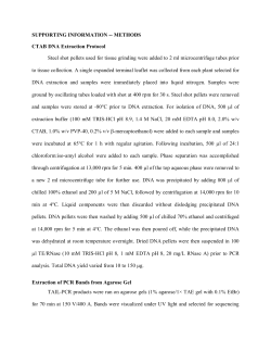 SUPPORTING INFORMATION -- METHODS CTAB DNA Extraction