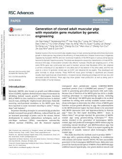 Generation of cloned adult muscular pigs with