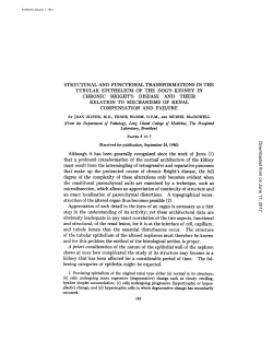 structural and functional transformations in the tubular