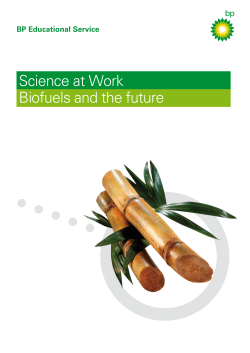 Science at Work Biofuels and the future