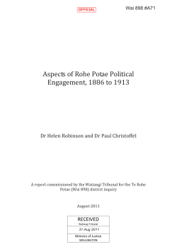 Aspects of Rohe Potae Political Engagement