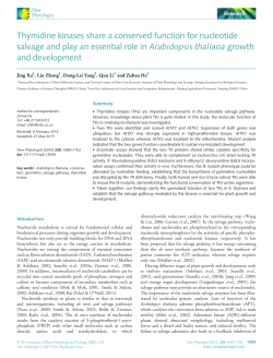 Thymidine kinases share a conserved function for nucleotide