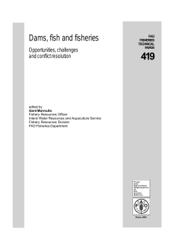 Dams, fish and fisheries. Opportunities, challenges and conflict