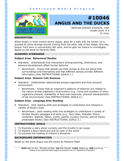10046 angus and the ducks - The Described and Captioned Media
