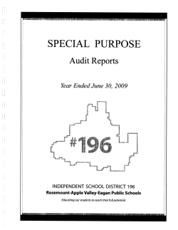 Special Purpose Audit Reports - Independent School District 196
