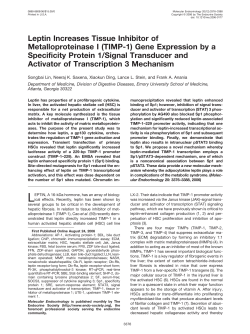 Leptin Increases Tissue Inhibitor of Metalloproteinase I (TIMP