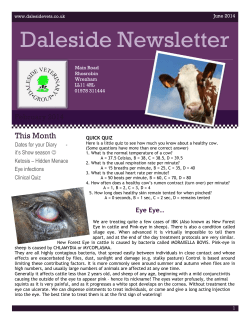 Daleside Newsletter - daleside veterinary group