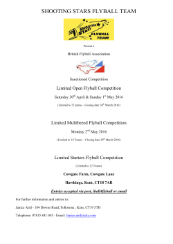 shooting stars flyball team - British Flyball Association