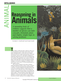 animal - University College Dublin