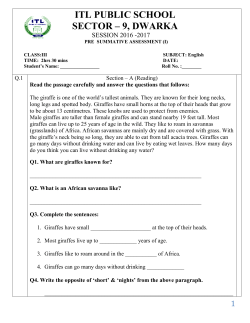 ITL PUBLIC SCHOOL SECTOR – 9, DWARKA