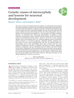 Genetic causes of microcephaly and lessons for neuronal