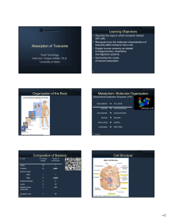 Absorption of Toxicants