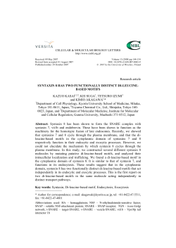 Syntaxin 8 has two functionally distinct di-leucine