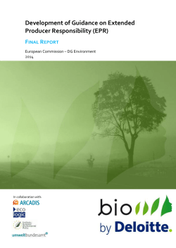 Development of Guidance on Extended Producer Responsibility (EPR)