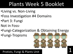 File - 6th grade science weebly