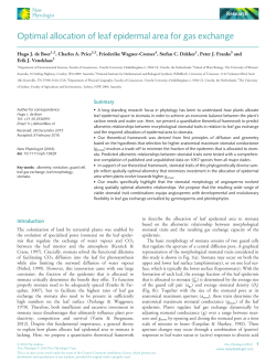Optimal allocation of leaf epidermal area for gas exchange
