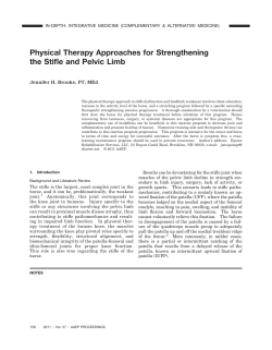 Physical Therapy Approaches for Strengthening the Stifle and Pelvic