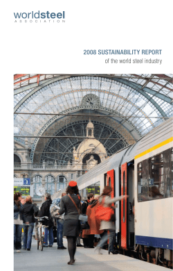 2008 SUSTAINABILITY REPORT of the world steel industry