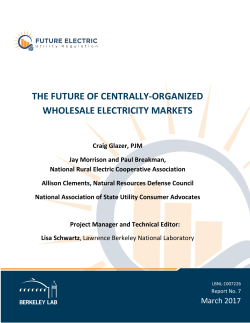 the future of centrally-organized wholesale electricity