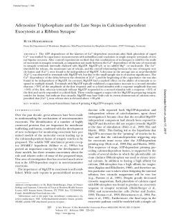 Adenosine Triphosphate and the Late Steps in Calcium