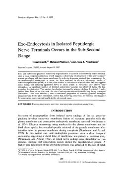 Exo-endocytosis in isolated peptidergic nerve terminals