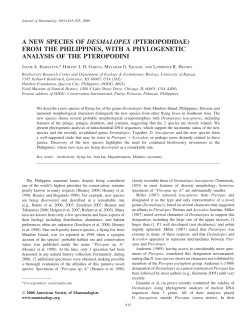 a new species of desmalopex - KU Biodiversity Institute