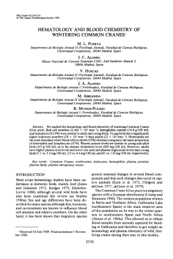 Hamatology and Blood Chemistry of Wintering Common Cranes