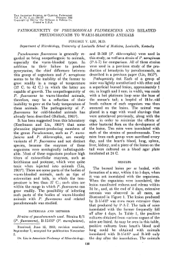 PATHOGENICITY OK PSEUDOMONAS FLUORESCENS AND