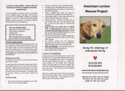 American Lurcher Rescue Project