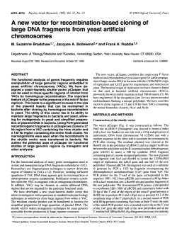 A new vector for recombination-based cloning of large DNA