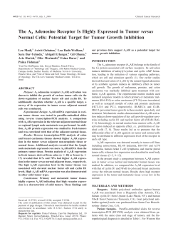 The A3 Adenosine Receptor Is Highly Expressed in Tumor versus