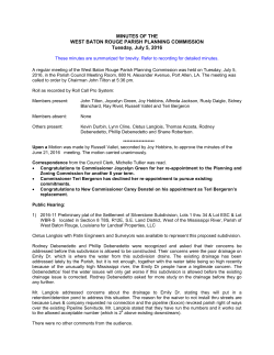 7/5/2016 Minutes - Planning Commission