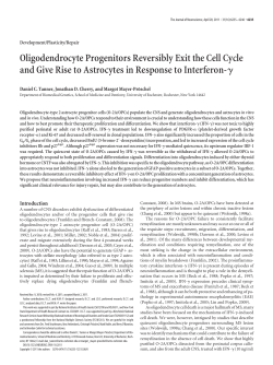 Oligodendrocyte Progenitors Reversibly Exit the Cell Cycle and Give