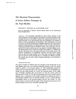 The Electrical Characteristics of Active Sodium Transport in the Toad