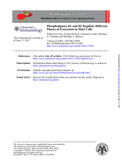 Phases of Exocytosis in Mast Cells Phospholipases D1 and D2