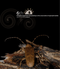 European symposium and workshop on the