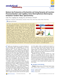 Bottom-Up Proteomics of Escherichia coli Using