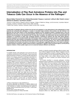 Internalization of Flax Rust Avirulence Proteins into