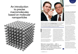 An introduction to precise macromolecules based on molecular