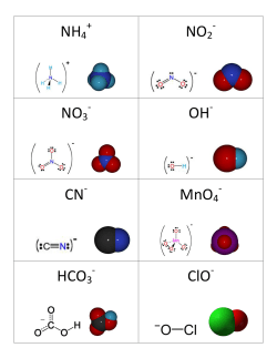 NH4 NO2 NO3 OH CN MnO4 HCO3 ClO