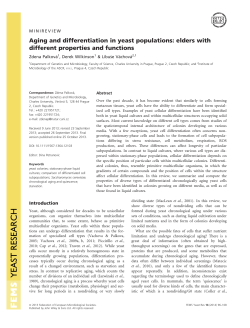 Aging and differentiation in yeast populations: elders with different